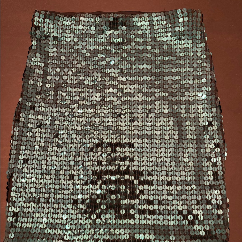 Sequin Skirt in Shimmering Green